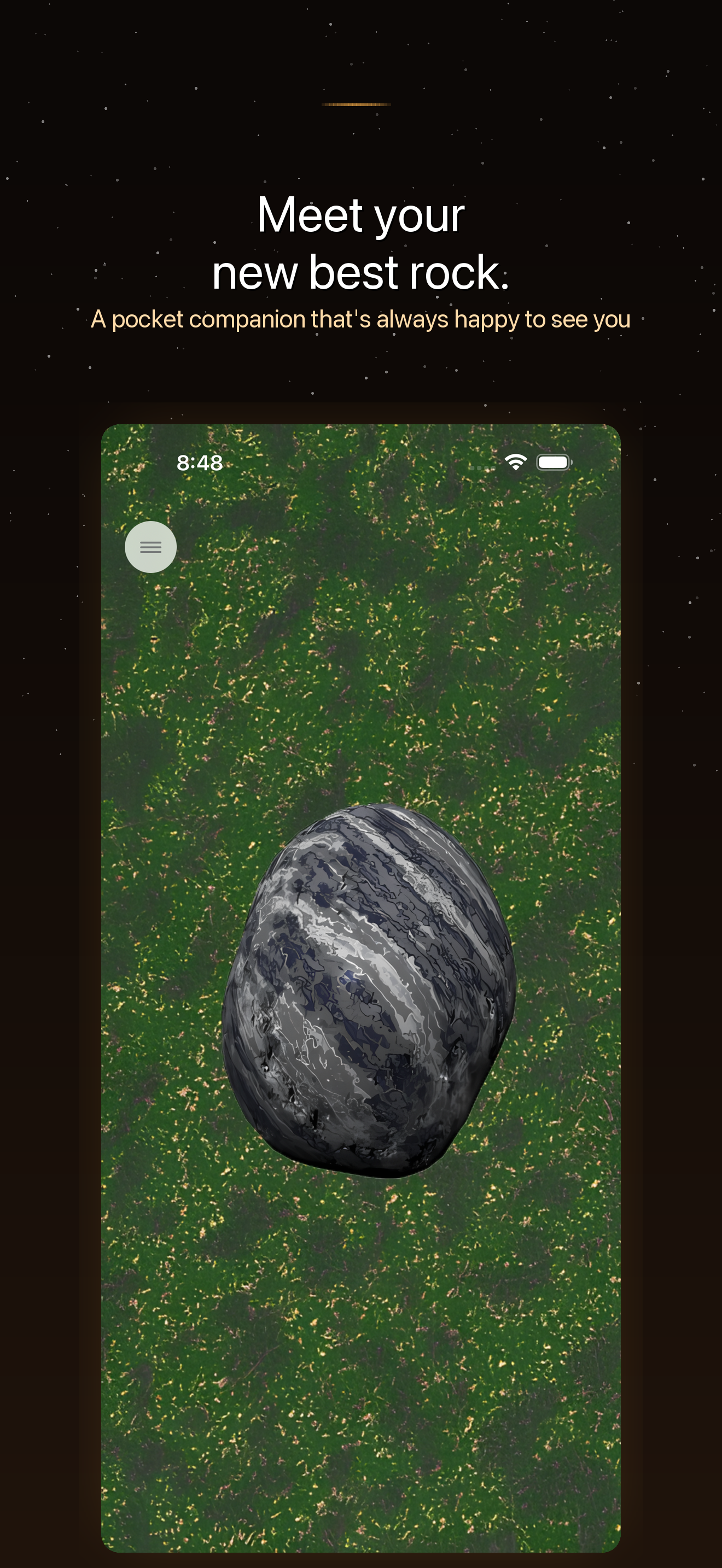 iPetRock main screen